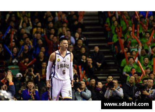NBA新奥尔良鹈鹕队：挑战巅峰的征程