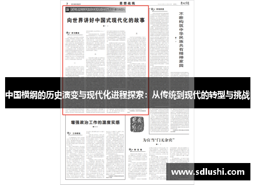 中国横纲的历史演变与现代化进程探索：从传统到现代的转型与挑战