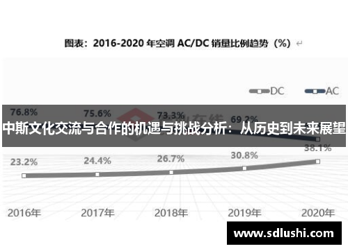 中斯文化交流与合作的机遇与挑战分析：从历史到未来展望