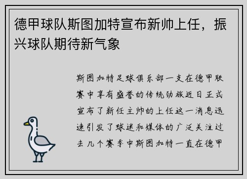 德甲球队斯图加特宣布新帅上任，振兴球队期待新气象