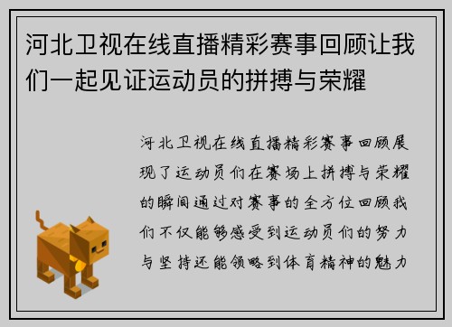 河北卫视在线直播精彩赛事回顾让我们一起见证运动员的拼搏与荣耀
